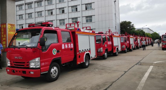 ʮ���_�c�С��ɭ������܇���w�ύ���